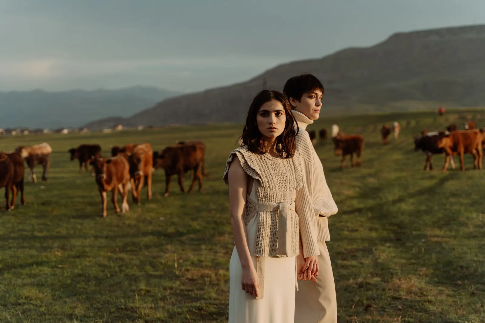 Inner Mongolian pasture with goats and livestock — Ordos origin